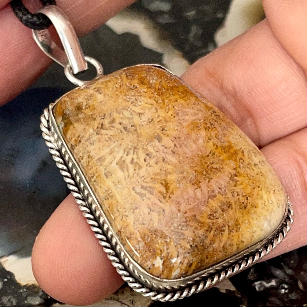 Agatized Fossil Coral Pendant 2”